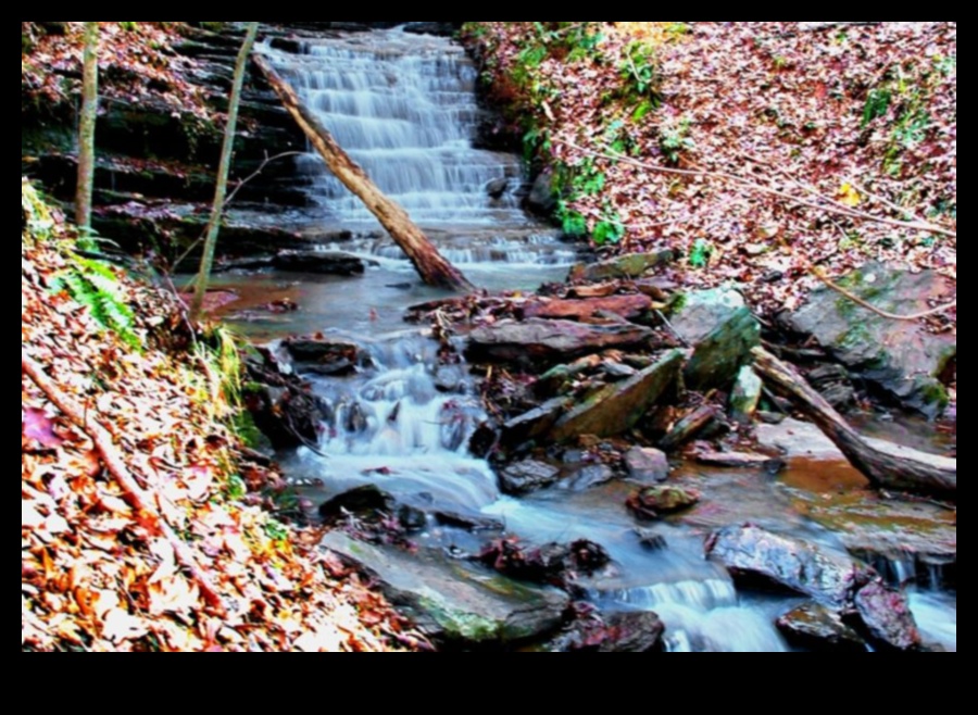 Ritmuri de râuri: pârâuri și pârâuri serpentinând prin peisaje