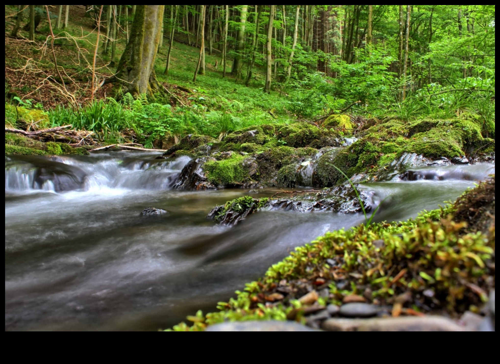 Ritmuri de râuri: pârâuri și pârâuri serpentinând prin peisaje