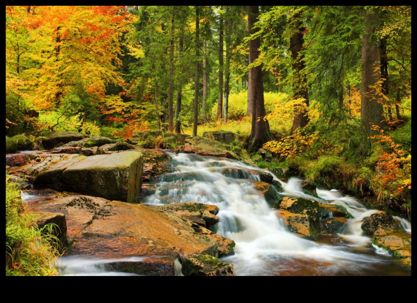 Ritmuri de râuri: pârâuri și pârâuri serpentinând prin peisaje