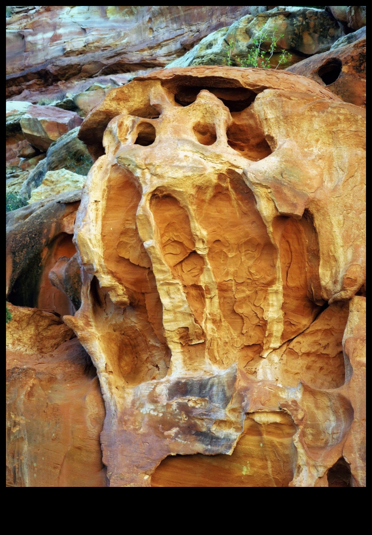 Sculpturile naturii: Land Art care inspiră minune