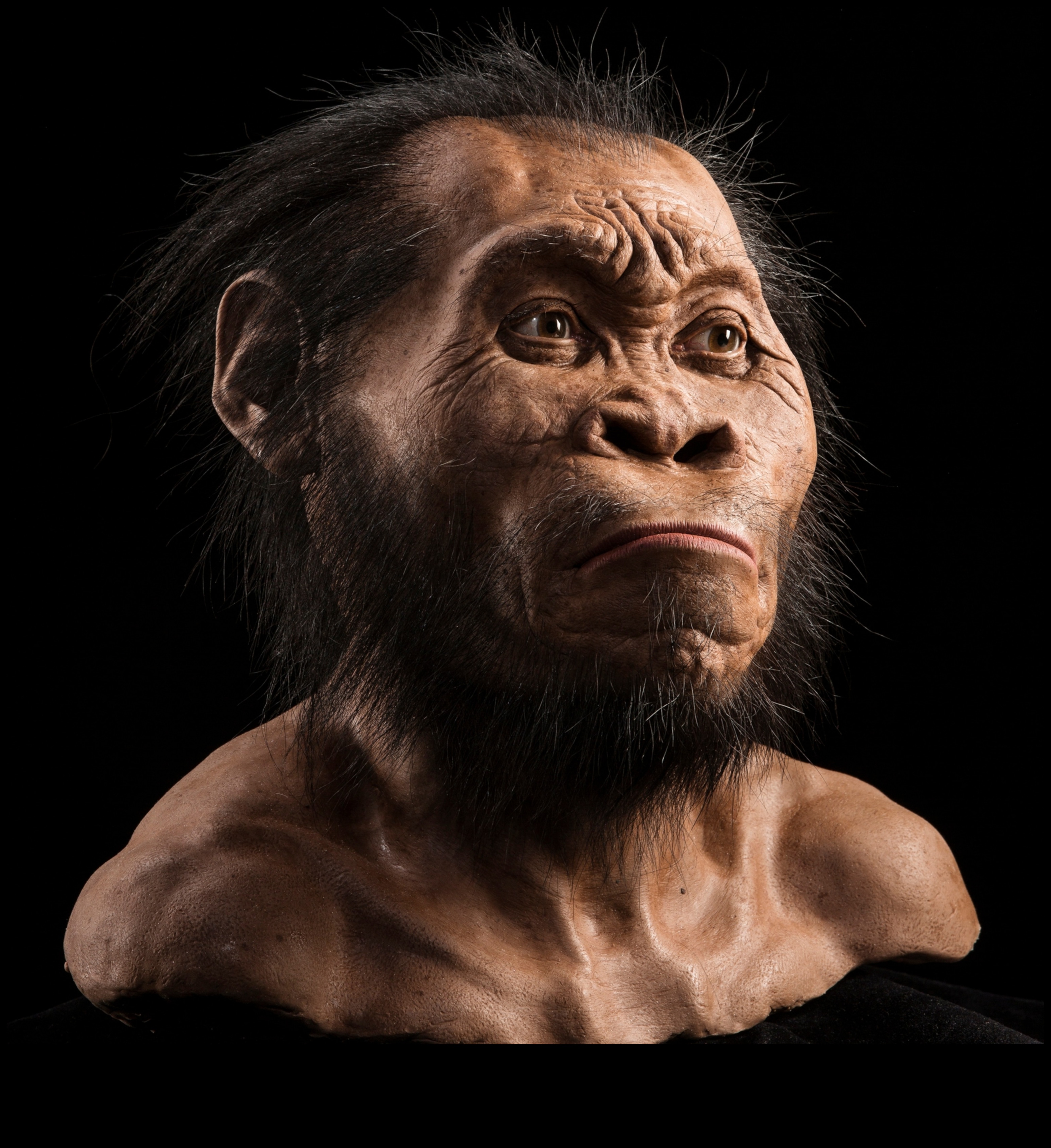 Portrete primitive: chipuri în figurine preistorice