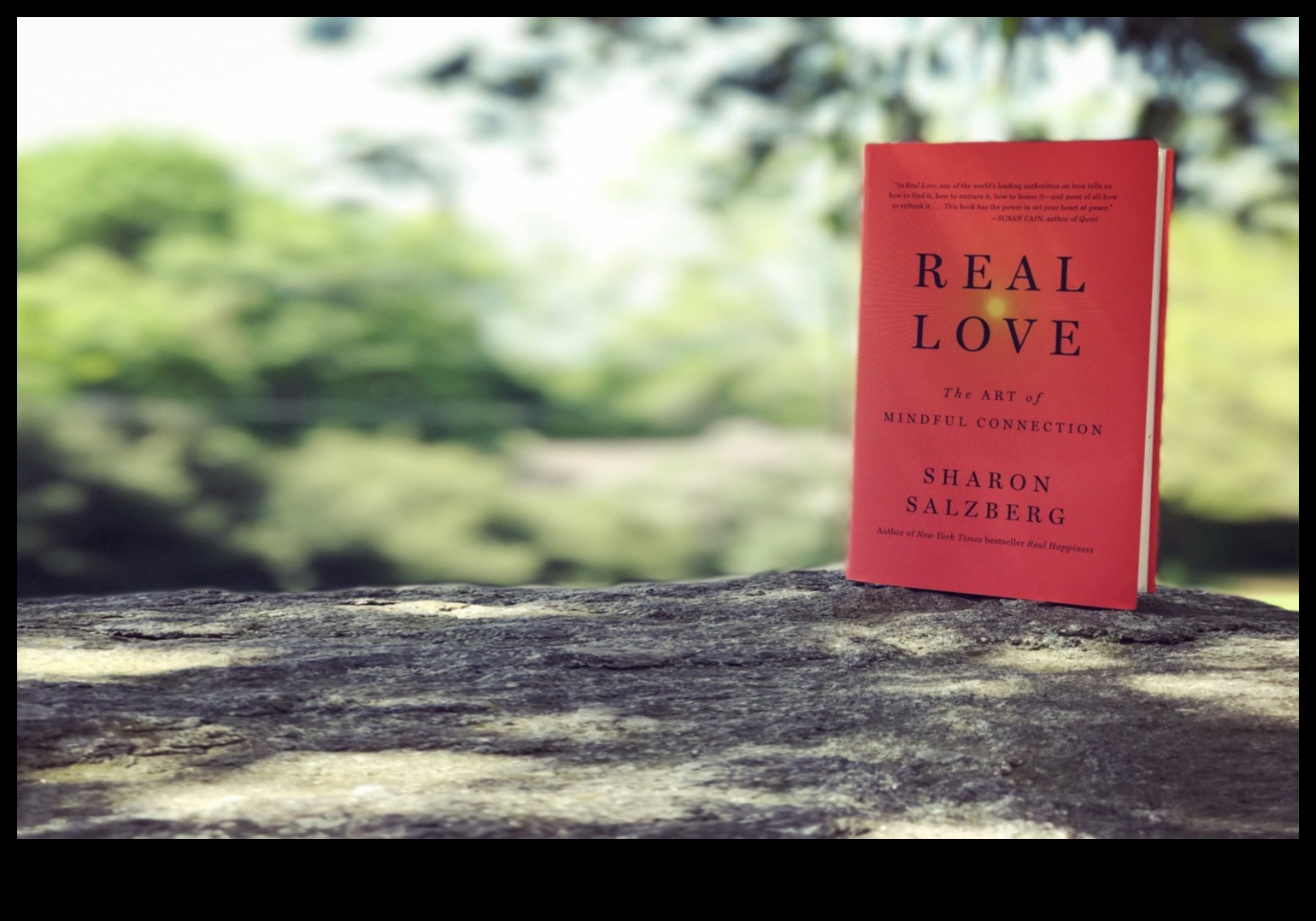 Dragoste conștientă: esența conexiunii conștiente în relații