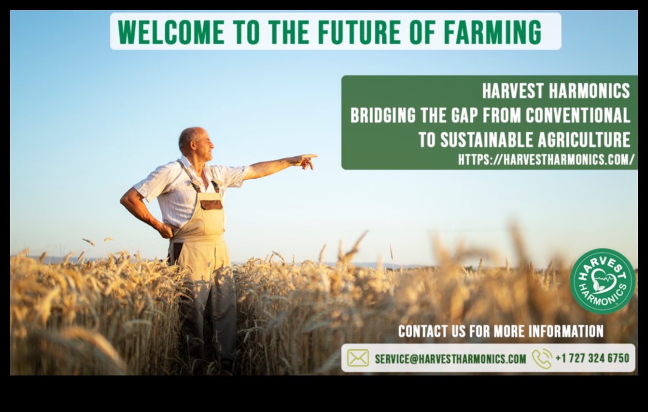 Harvest Harmony II: Continuarea celebrării frumuseții terenurilor agricole