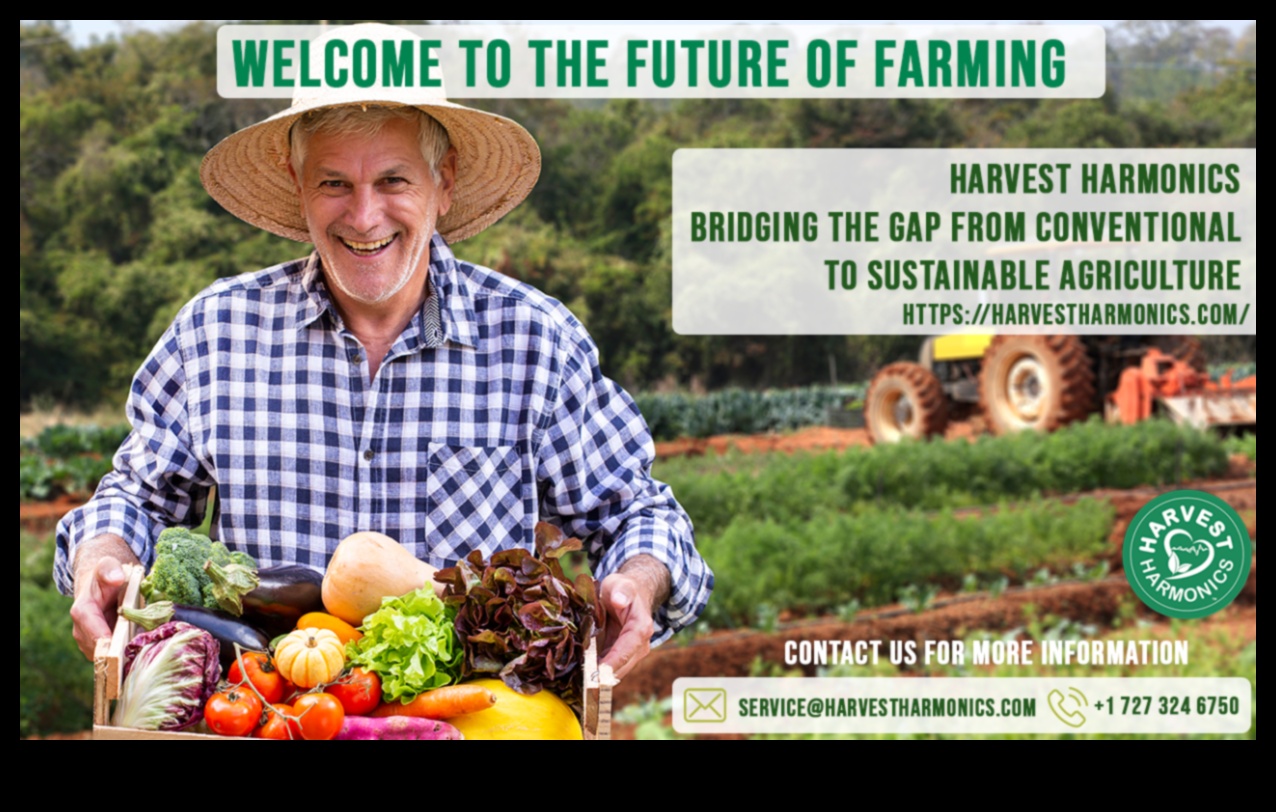 Harvest Harmony II: Continuarea celebrării frumuseții terenurilor agricole