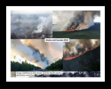 Care este impactul schimbărilor climatice asupra conservării peisajelor tropicale?