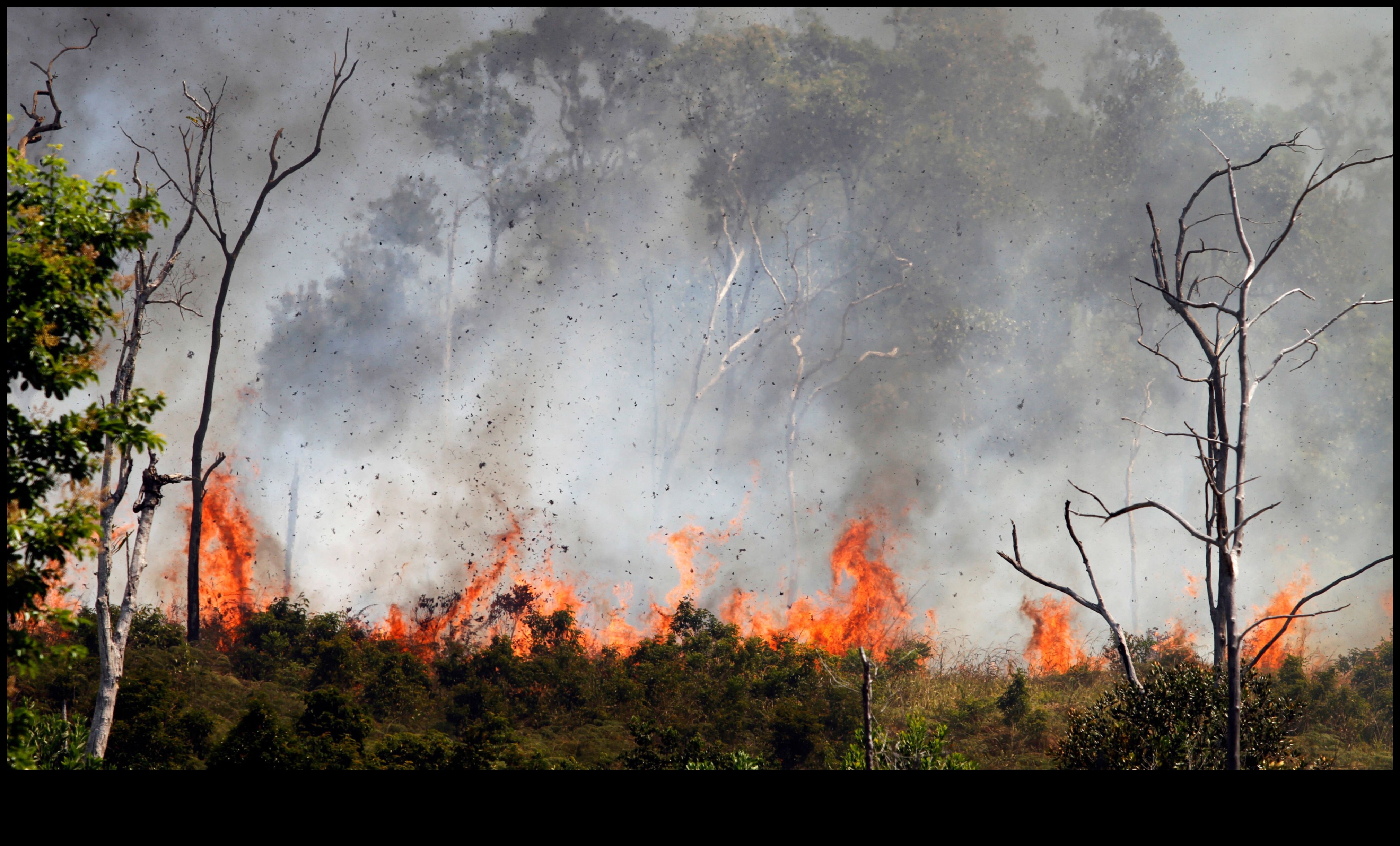 Care este impactul schimbărilor climatice asupra conservării peisajelor tropicale?