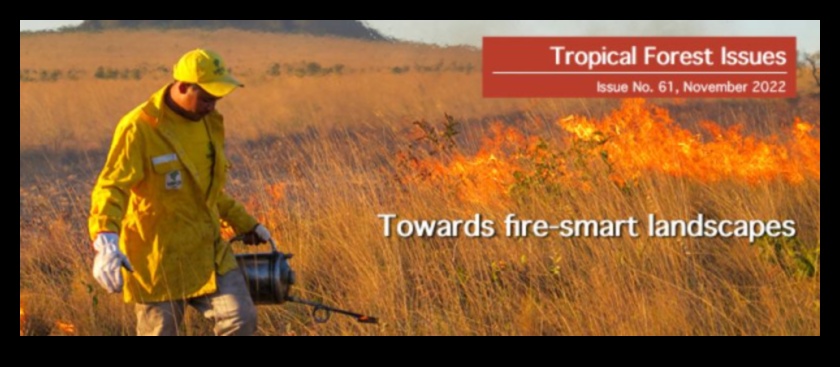 Care este impactul schimbărilor climatice asupra conservării peisajelor tropicale?