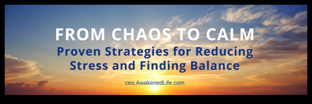 Calm în haos: navigarea în pacea interioară cu eliberarea stresului