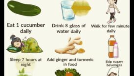 Un ghid cuprinzător pentru dieta pe termen scurt: navigarea prin soluții rapide