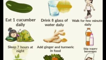 Un ghid cuprinzător pentru dieta pe termen scurt: navigarea prin soluții rapide