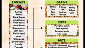 Proteinele care combină mituri și adevăruri în dietele vegetariene