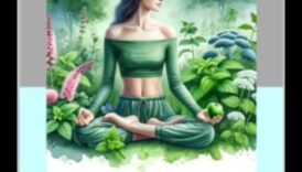 Armonia în interior: îmbrățișarea esenței Mindfulness
