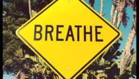 Calm în haos: navigarea în pacea interioară cu eliberarea stresului