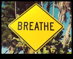 Calm în haos: navigarea în pacea interioară cu eliberarea stresului