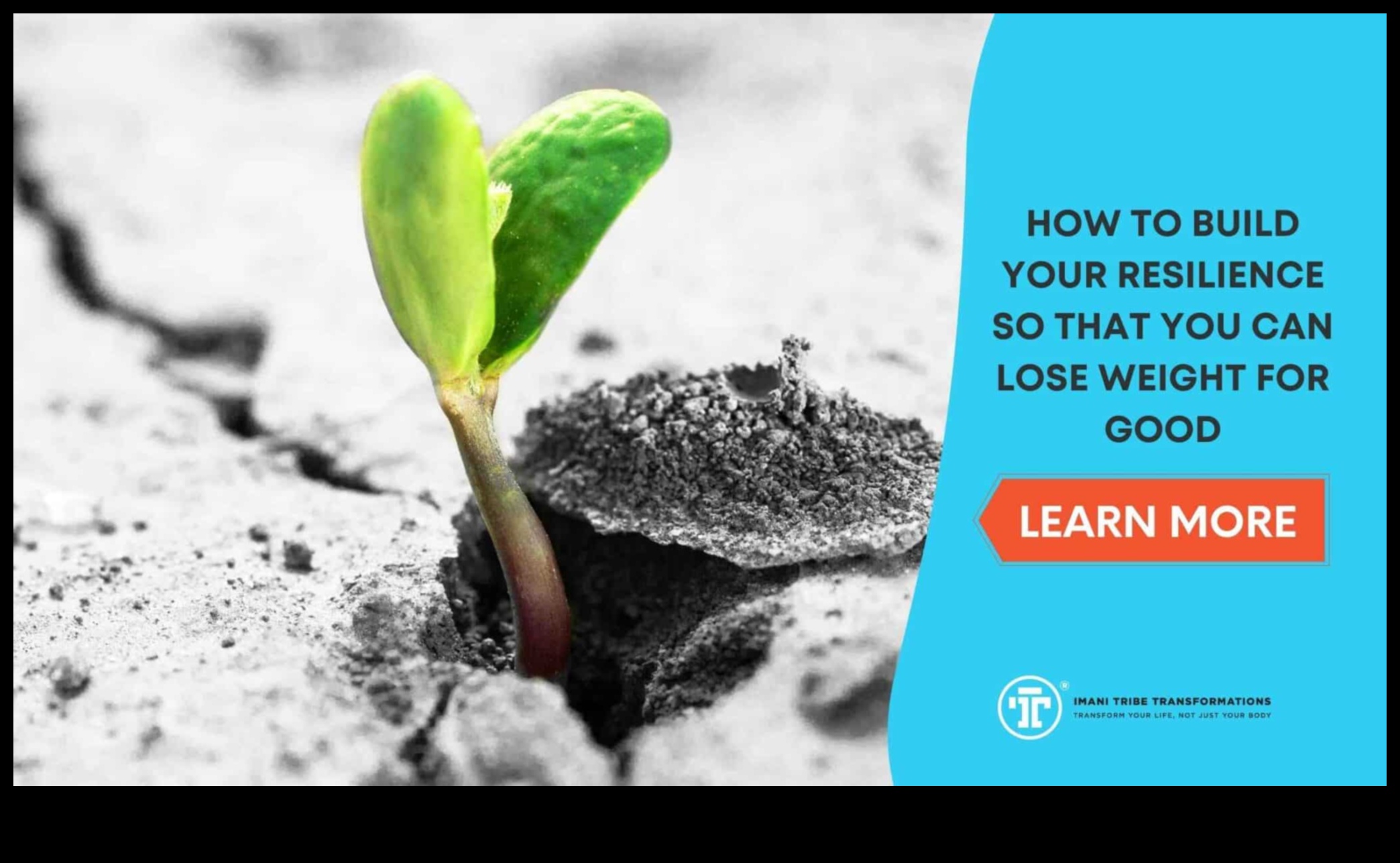 Diete pentru creșterea în greutate și rezistență emoțională: creșterea bunăstării