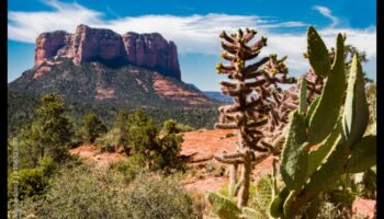 Desert Dreams: Lumea încântătoare a peisajelor aride