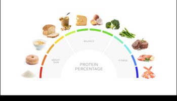 Ghidul suprem pentru dietele bogate în proteine: Ce trebuie să știți