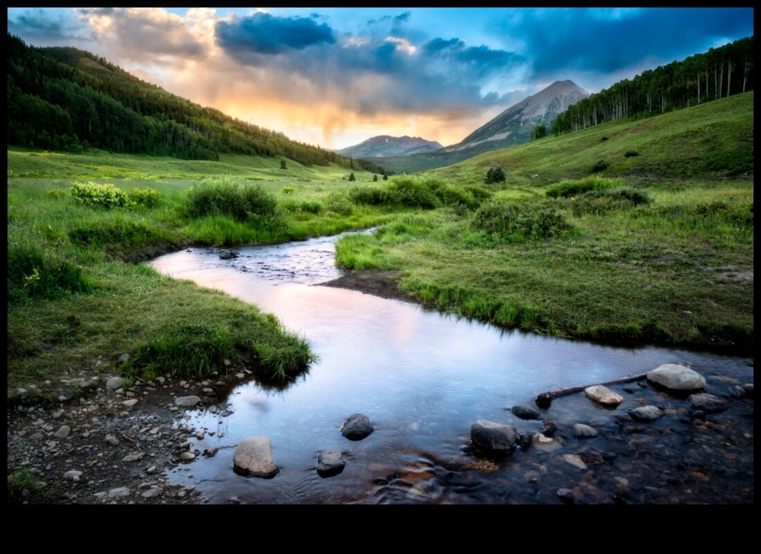 Ritmuri de râuri: pârâuri și pârâuri serpentinând prin peisaje