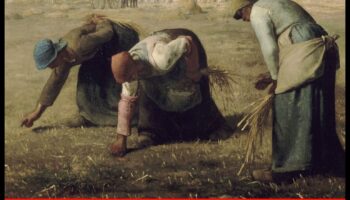 Ordinar Extraordinar: Găsirea frumuseții în realism