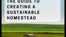 Harvest Harmony II: Continuarea celebrării frumuseții terenurilor agricole