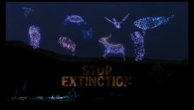 Iluminări orbitale: Lumină strălucitoare asupra minunilor orbitei cerești