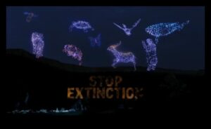 Iluminări orbitale: Lumină strălucitoare asupra minunilor orbitei cerești