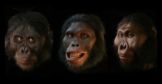 Portrete primitive: chipuri în figurine preistorice