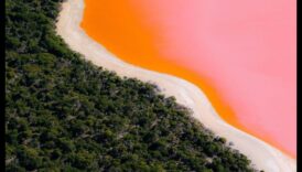 Perspective sublime: Căutând uimirea în grandoarea naturii