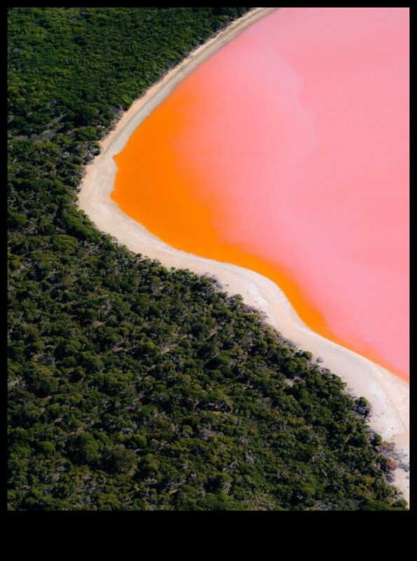 Perspective sublime: Căutând uimirea în grandoarea naturii