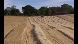 Hamlet Havens II: vederi fermecătoare ale satelor și orașelor din întreaga lume